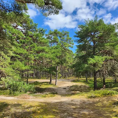 דירה Apartament, Wypoczynkowa *