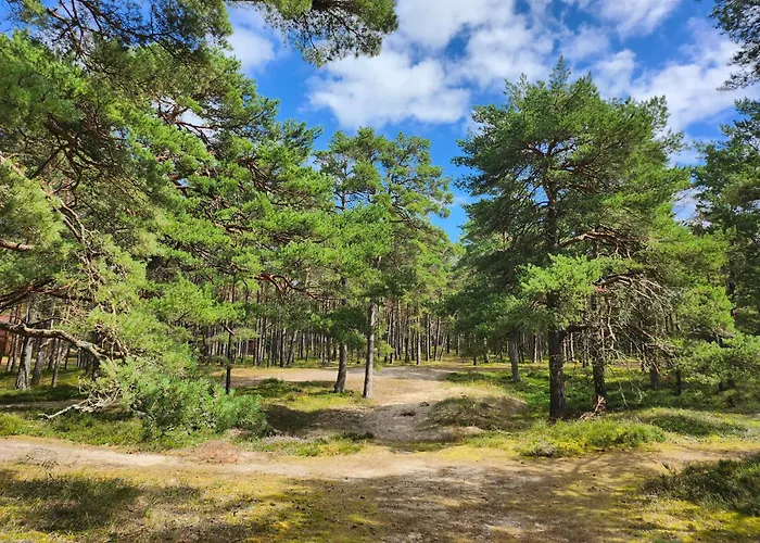 Lägenhet Apartament, Wypoczynkowa *